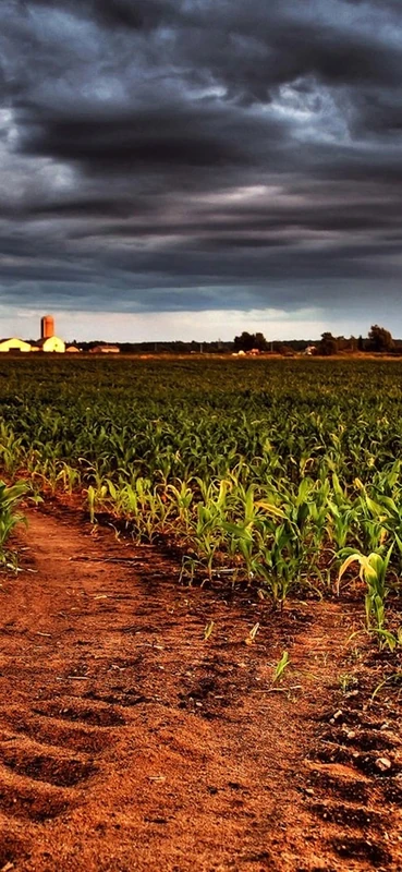 PeelitStickit, Beautiful Nature Wall Murals, ID-1104, vinyl