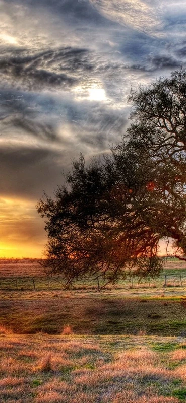 PeelitStickit, Beautiful Nature Wall Murals, ID-1115, vinyl