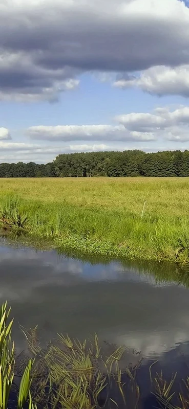 PeelitStickit, Beautiful Nature Wall Murals, ID-1126, vinyl