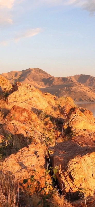 PeelitStickit, Beautiful Nature Wall Murals, ID-1119, vinyl