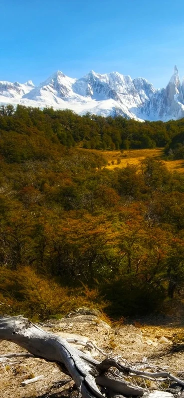 PeelitStickit, Beautiful Nature Wall Murals, ID-1131, vinyl