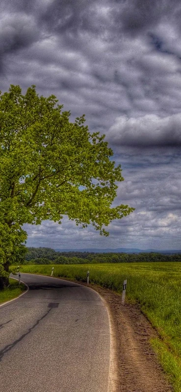 PeelitStickit, Beautiful Nature Wall Murals, ID-1129, vinyl