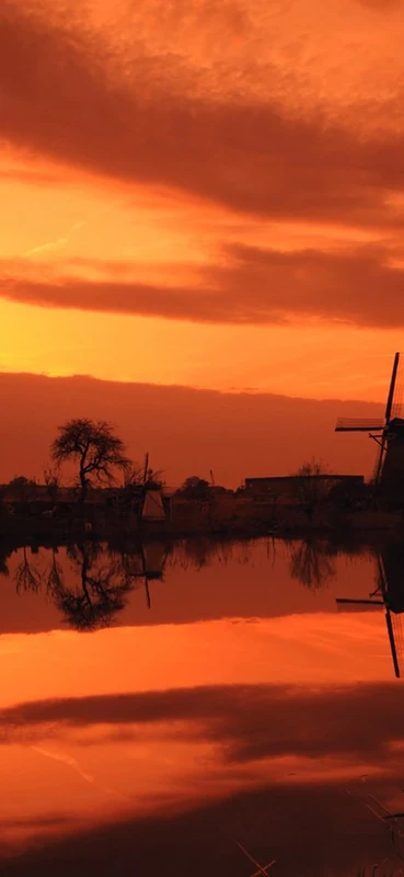 PeelitStickit, Beautiful Nature Wall Murals, ID-1133, vinyl