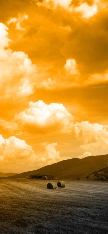 PeelitStickit, Beautiful Nature Wall Murals, ID-1137, vinyl