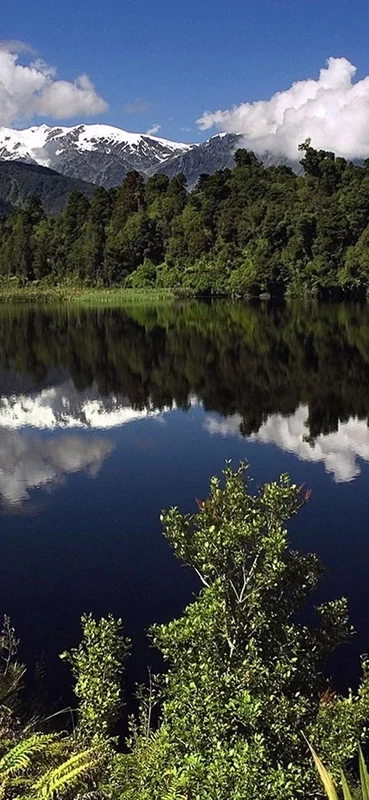 PeelitStickit, Beautiful Nature Wall Murals, ID-1142, vinyl