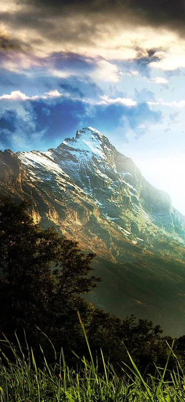 PeelitStickit, Beautiful Nature Wall Murals, ID-1149, vinyl