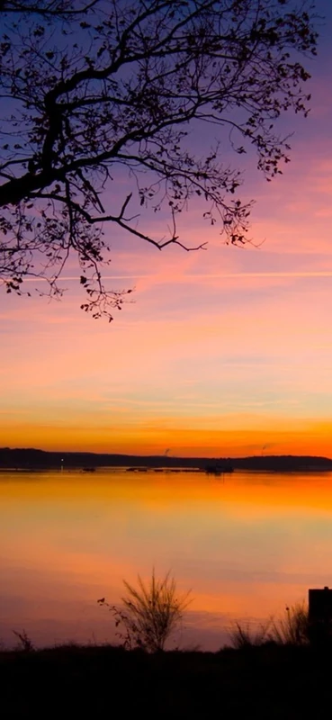 PeelitStickit, Beautiful Nature Wall Murals, ID-1160, vinyl