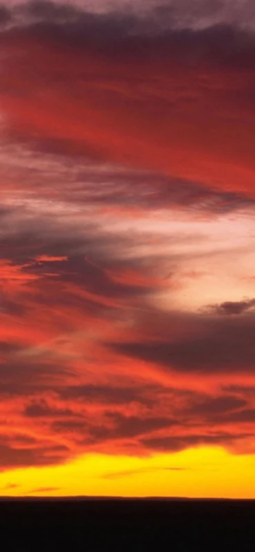 PeelitStickit, Beautiful Nature Wall Murals, ID-1155, vinyl