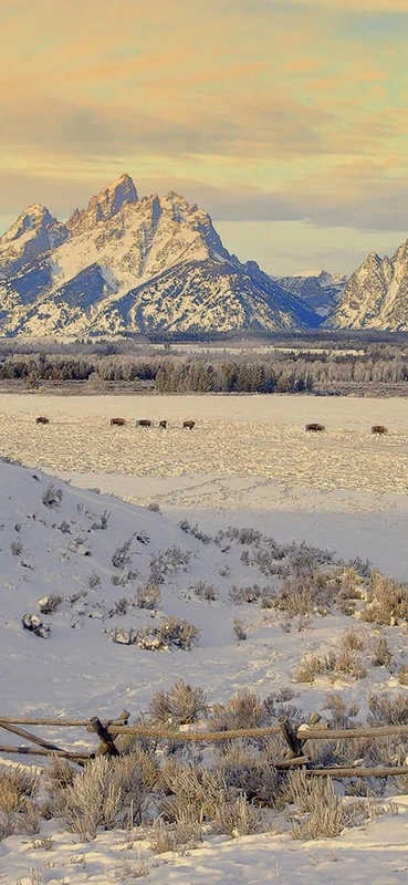 PeelitStickit, Beautiful Nature Wall Murals, ID-1156, vinyl