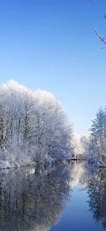 PeelitStickit, Beautiful Nature Wall Murals, ID-1169, vinyl