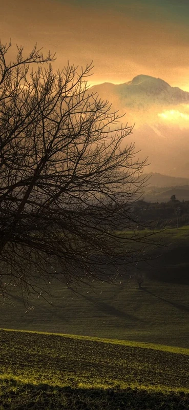 PeelitStickit, Beautiful Nature Wall Murals, ID-1173, vinyl