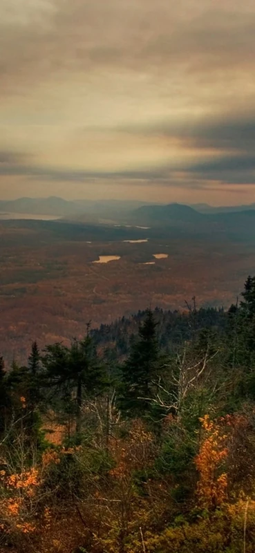 PeelitStickit, Beautiful Nature Wall Murals, ID-1187, vinyl