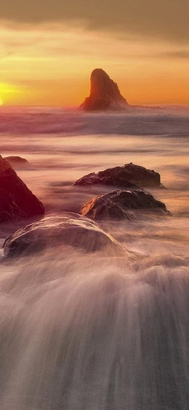 PeelitStickit, Beautiful Nature Wall Murals, ID-1186, vinyl