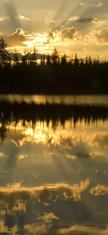 PeelitStickit, Beautiful Nature Wall Murals, ID-1202, vinyl