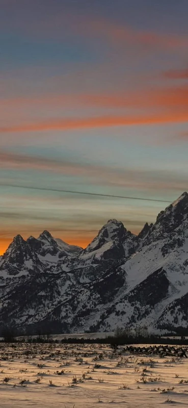 PeelitStickit, Beautiful Nature Wall Murals, ID-1203, vinyl