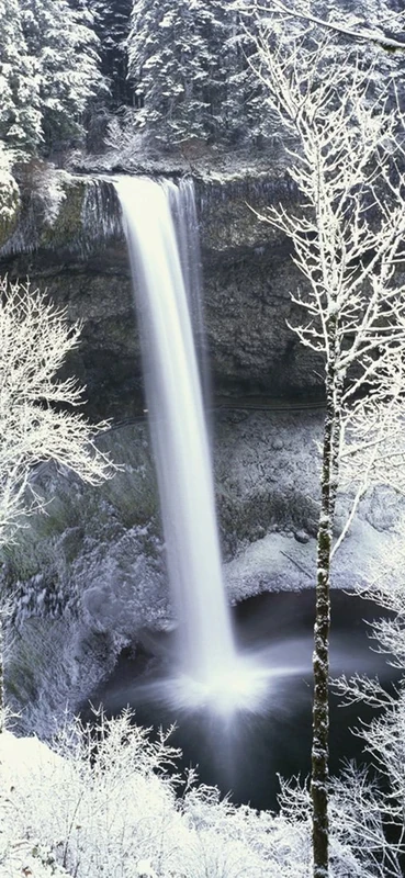 PeelitStickit, Beautiful Nature Wall Murals, ID-1196, vinyl