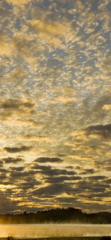 PeelitStickit, Beautiful Nature Wall Murals, ID-1218, vinyl