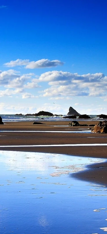 PeelitStickit, Beautiful Nature Wall Murals, ID-1225, vinyl