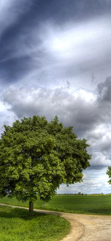 PeelitStickit, Beautiful Nature Wall Murals, ID-1231, vinyl