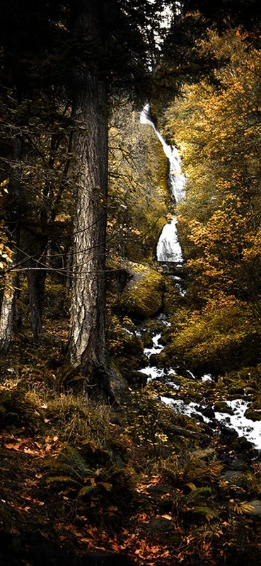 PeelitStickit, Beautiful Nature Wall Murals, ID-1235, vinyl