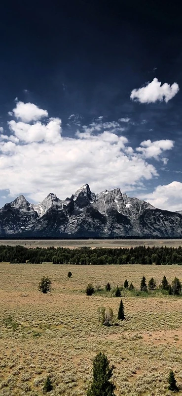 PeelitStickit, Beautiful Nature Wall Murals, ID-1232, vinyl