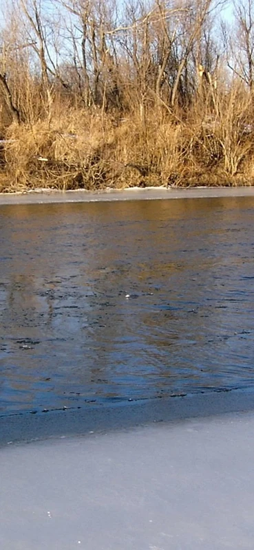 PeelitStickit, Beautiful Nature Wall Murals, ID-1234, vinyl