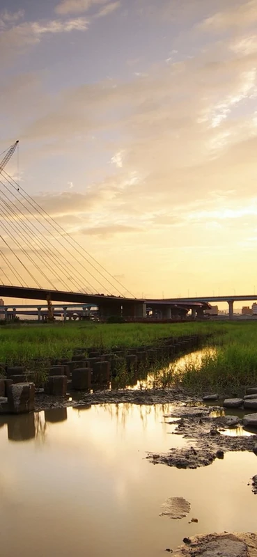 PeelitStickit, Beautiful Nature Wall Murals, ID-1244, vinyl