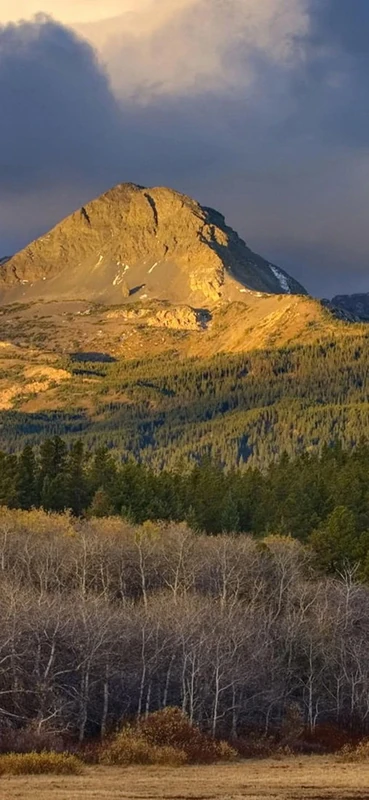 PeelitStickit, Beautiful Nature Wall Murals, ID-1264, vinyl