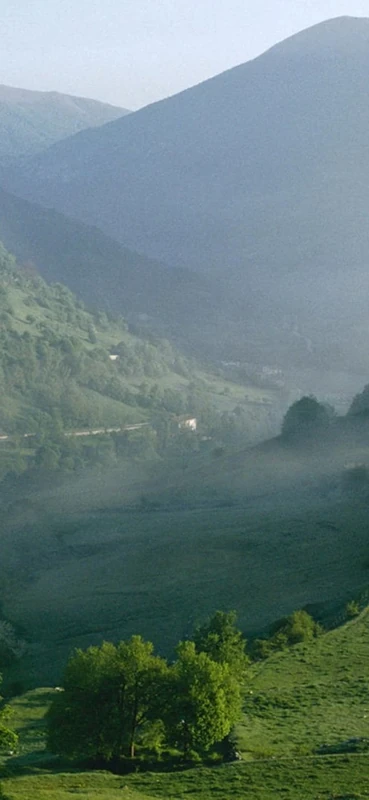 PeelitStickit, Beautiful Nature Wall Murals, ID-1262, vinyl