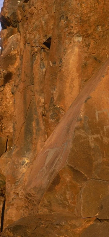 PeelitStickit, Beautiful Nature Wall Murals, ID-1273, vinyl