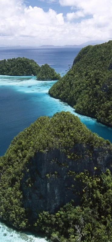 PeelitStickit, Beautiful Nature Wall Murals, ID-1277, vinyl