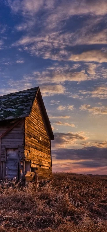 PeelitStickit, Beautiful Nature Wall Murals, ID-1294, vinyl