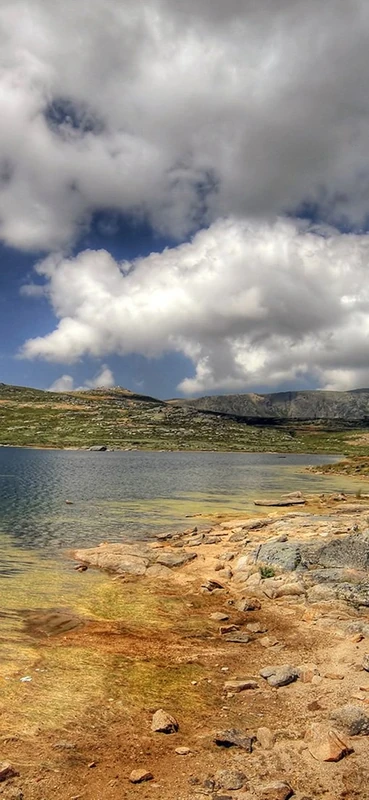 PeelitStickit, Beautiful Nature Wall Murals, ID-1293, vinyl