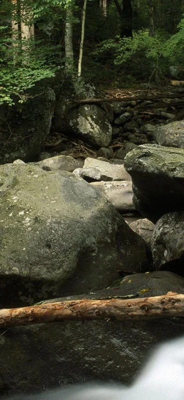 PeelitStickit, Beautiful Nature Wall Murals, ID-1301, vinyl