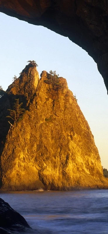 PeelitStickit, Beautiful Nature Wall Murals, ID-1311, vinyl