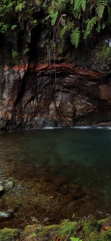 PeelitStickit, Beautiful Nature Wall Murals, ID-1326, vinyl