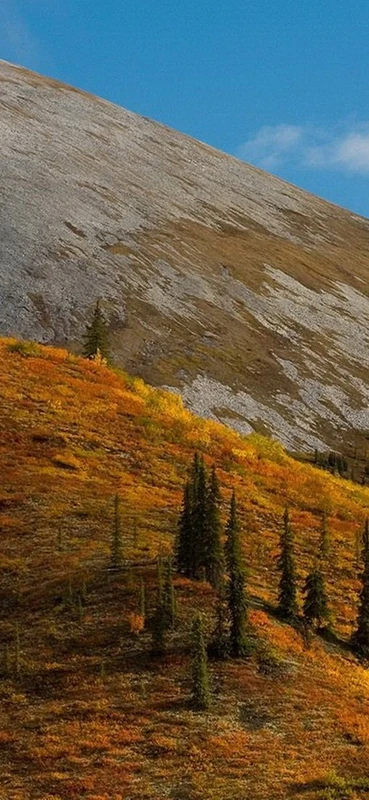 PeelitStickit, Beautiful Nature Wall Murals, ID-1330, vinyl