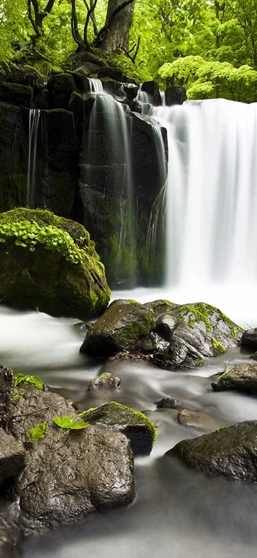 PeelitStickit, Beautiful Nature Wall Murals, ID-1333, vinyl