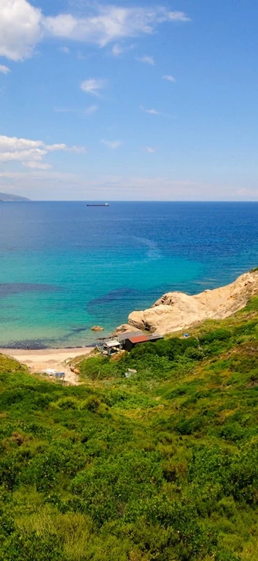 PeelitStickit ID-1340 60 Width x 130 cm Height Beautiful Nature Vinyl Wall Mural