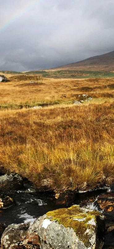 PeelitStickit, Beautiful Nature Wall Murals, ID-1343, vinyl