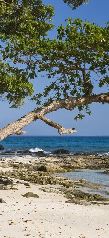 PeelitStickit, Beautiful Nature Wall Murals, ID-1344, vinyl