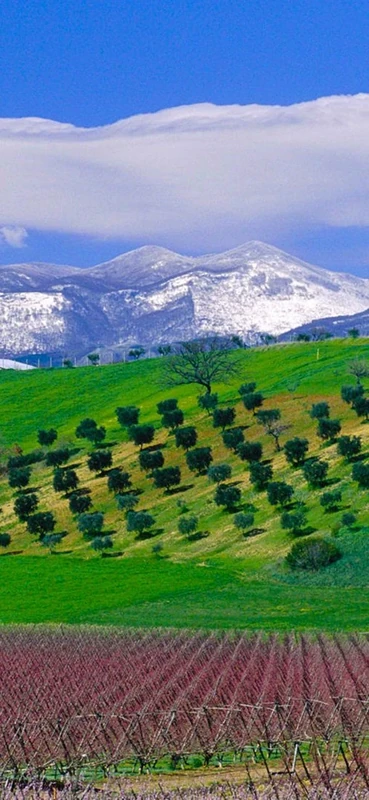 PeelitStickit, Beautiful Nature Wall Murals, ID-1345, vinyl