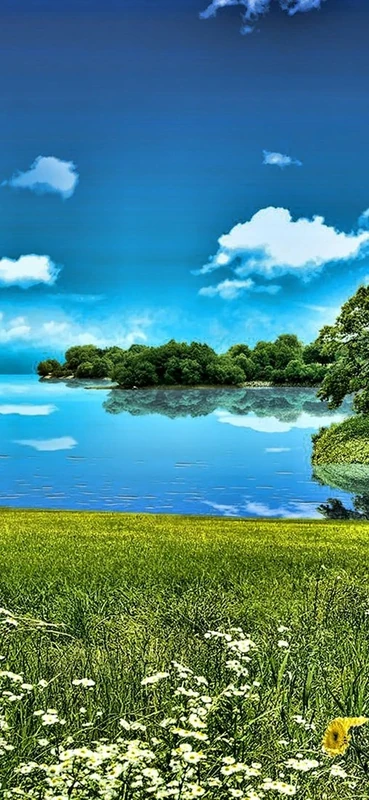 PeelitStickit, Beautiful Nature Wall Murals, ID-1360, vinyl