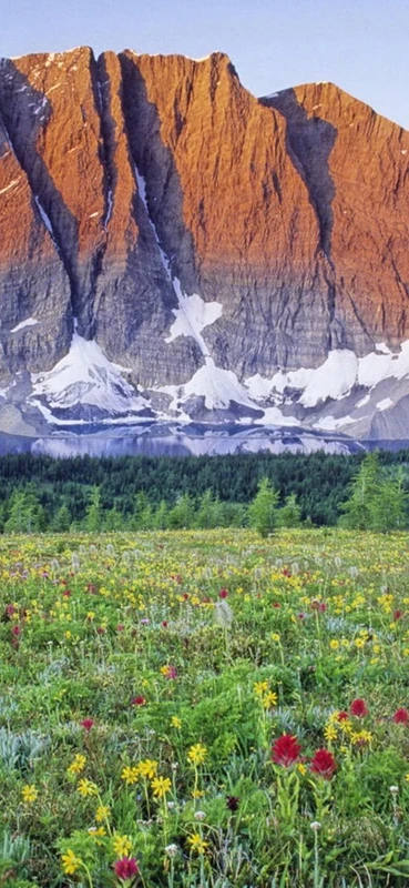 PeelitStickit, Beautiful Nature Wall Murals, ID-1371, vinyl