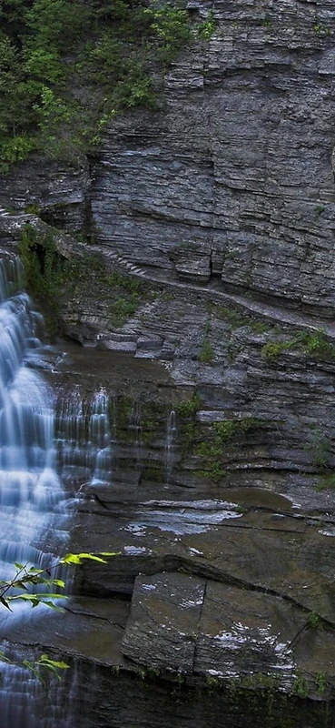 PeelitStickit, Beautiful Nature Wall Murals, ID-1367, vinyl