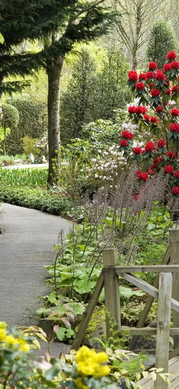 PeelitStickit, Beautiful Nature Wall Murals, ID-1376, vinyl