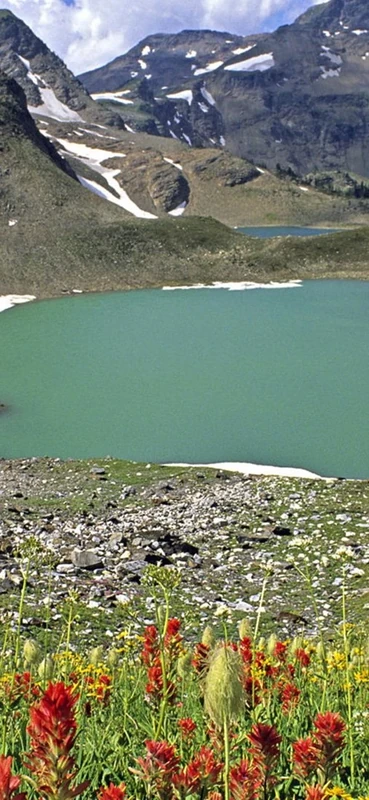 PeelitStickit, Beautiful Nature Wall Murals, ID-1384, vinyl