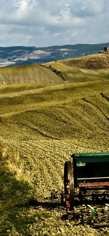 PeelitStickit, Beautiful Nature Wall Murals, ID-1395, vinyl