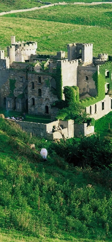 PeelitStickit, Beautiful Nature Wall Murals, ID-1391, vinyl