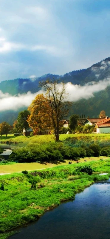 PeelitStickit, Beautiful Nature Wall Murals, ID-1403, vinyl